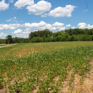 Photo #8 of SOLD property in Off E Elkhorn Rd, Java, VA 34.4 acres