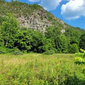 Photo #2 of SOLD property in Off Elwood Dr - Lot 14, Hot Springs, VA 0.7 acres
