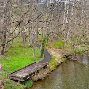 Photo #14 of SOLD property in Off Elwood Dr - Lot 14, Hot Springs, VA 0.7 acres