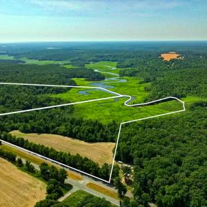 Photo #2 of Off Tidewater Trail, Caret, VA 115.1 acres