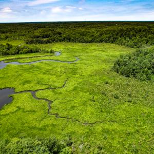 Photo #5 of Off Tidewater Trail, Caret, VA 115.1 acres
