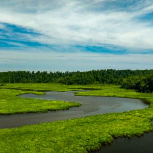 Photo #6 of Off Tidewater Trail, Caret, VA 115.1 acres