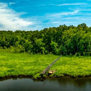 Photo #7 of Off Tidewater Trail, Caret, VA 115.1 acres