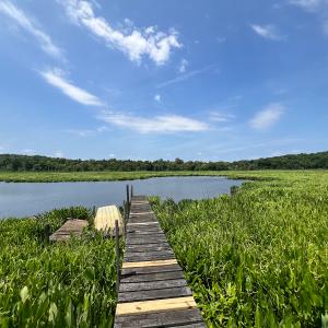 Photo #8 of Off Tidewater Trail, Caret, VA 115.1 acres