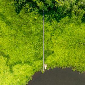 Photo #9 of Off Tidewater Trail, Caret, VA 115.1 acres