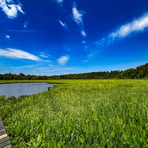 Photo #10 of Off Tidewater Trail, Caret, VA 115.1 acres