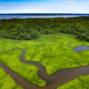 Photo #13 of Off Tidewater Trail, Caret, VA 115.1 acres