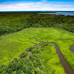 Photo #14 of Off Tidewater Trail, Caret, VA 115.1 acres