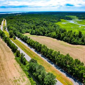 Photo #16 of Off Tidewater Trail, Caret, VA 115.1 acres