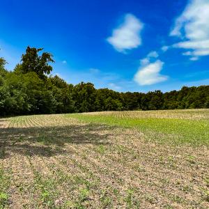 Photo #17 of Off Tidewater Trail, Caret, VA 115.1 acres