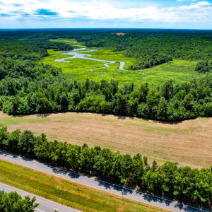 Photo #18 of Off Tidewater Trail, Caret, VA 115.1 acres