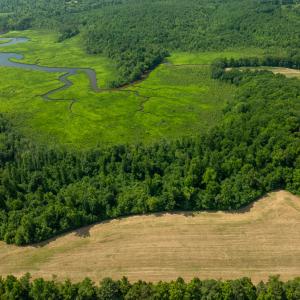 Photo #21 of Off Tidewater Trail, Caret, VA 115.1 acres