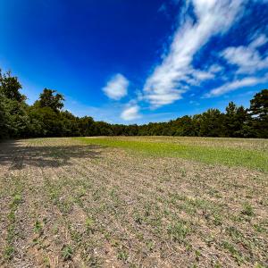 Photo #22 of Off Tidewater Trail, Caret, VA 115.1 acres