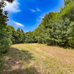 Photo #27 of Off Tidewater Trail, Caret, VA 115.1 acres