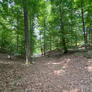 Photo #31 of Off Tidewater Trail, Caret, VA 115.1 acres