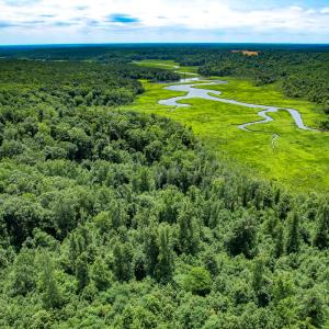 Photo #32 of Off Tidewater Trail, Caret, VA 115.1 acres