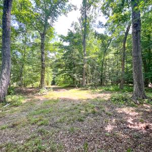 Photo #33 of Off Tidewater Trail, Caret, VA 115.1 acres