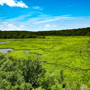 Photo #35 of Off Tidewater Trail, Caret, VA 115.1 acres