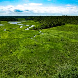 Photo #36 of Off Tidewater Trail, Caret, VA 115.1 acres