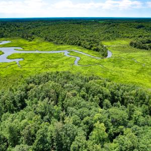 Photo #37 of Off Tidewater Trail, Caret, VA 115.1 acres