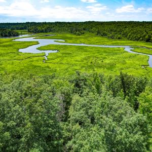 Photo #38 of Off Tidewater Trail, Caret, VA 115.1 acres