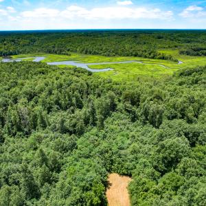 Photo #41 of Off Tidewater Trail, Caret, VA 115.1 acres