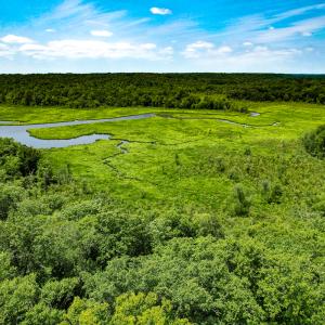 Photo #43 of Off Tidewater Trail, Caret, VA 115.1 acres