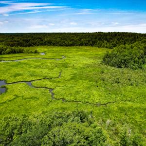 Photo #45 of Off Tidewater Trail, Caret, VA 115.1 acres