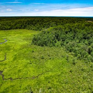 Photo #46 of Off Tidewater Trail, Caret, VA 115.1 acres