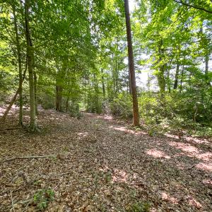 Photo #48 of Off Tidewater Trail, Caret, VA 115.1 acres
