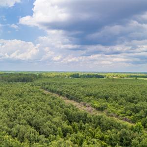 Photo #2 of SOLD property in Off Quinn Farm Lane, Clinton, NC 48.2 acres