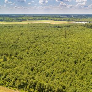 Photo #11 of SOLD property in Off Quinn Farm Lane, Clinton, NC 48.2 acres