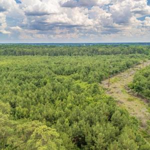 Photo #12 of SOLD property in Off Quinn Farm Lane, Clinton, NC 48.2 acres