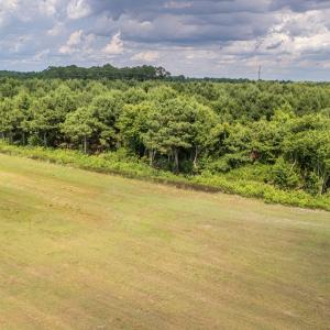 Photo #13 of SOLD property in Off Quinn Farm Lane, Clinton, NC 48.2 acres