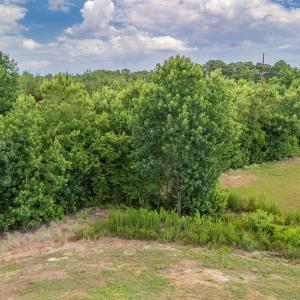 Photo #14 of SOLD property in Off Quinn Farm Lane, Clinton, NC 48.2 acres