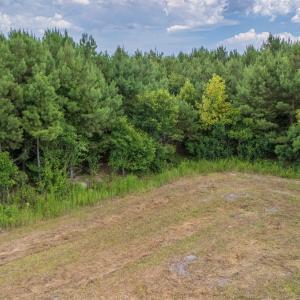 Photo #15 of SOLD property in Off Quinn Farm Lane, Clinton, NC 48.2 acres