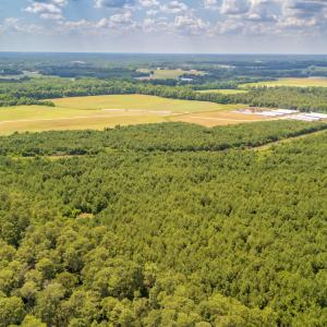 Photo #16 of SOLD property in Off Quinn Farm Lane, Clinton, NC 48.2 acres