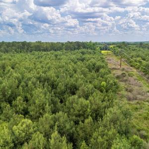 Photo #19 of SOLD property in Off Quinn Farm Lane, Clinton, NC 48.2 acres