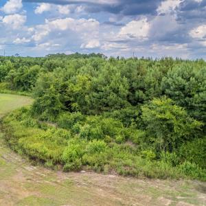 Photo #3 of SOLD property in Off Quinn Farm Lane, Clinton, NC 48.2 acres