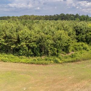 Photo #20 of SOLD property in Off Quinn Farm Lane, Clinton, NC 48.2 acres
