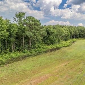 Photo #21 of SOLD property in Off Quinn Farm Lane, Clinton, NC 48.2 acres