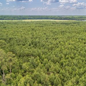 Photo #22 of SOLD property in Off Quinn Farm Lane, Clinton, NC 48.2 acres