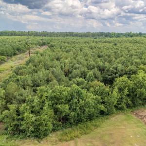 Photo #23 of SOLD property in Off Quinn Farm Lane, Clinton, NC 48.2 acres