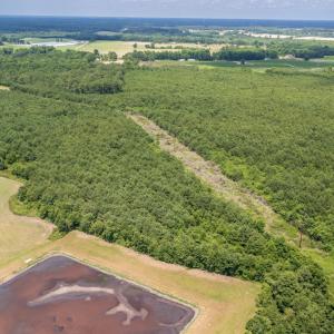 Photo #24 of SOLD property in Off Quinn Farm Lane, Clinton, NC 48.2 acres