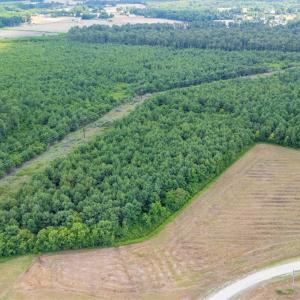 Photo #4 of SOLD property in Off Quinn Farm Lane, Clinton, NC 48.2 acres