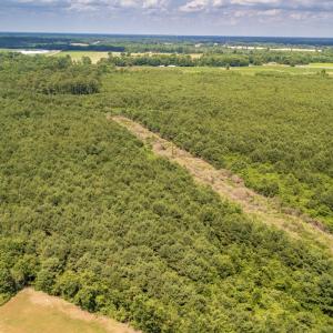 Photo #5 of SOLD property in Off Quinn Farm Lane, Clinton, NC 48.2 acres