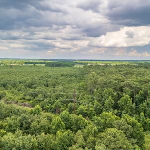 Photo #6 of SOLD property in Off Quinn Farm Lane, Clinton, NC 48.2 acres