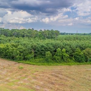 Photo #7 of SOLD property in Off Quinn Farm Lane, Clinton, NC 48.2 acres