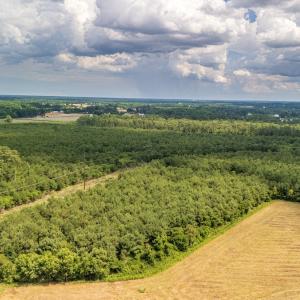 Photo #8 of SOLD property in Off Quinn Farm Lane, Clinton, NC 48.2 acres