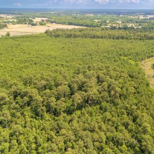 Photo #9 of SOLD property in Off Quinn Farm Lane, Clinton, NC 48.2 acres